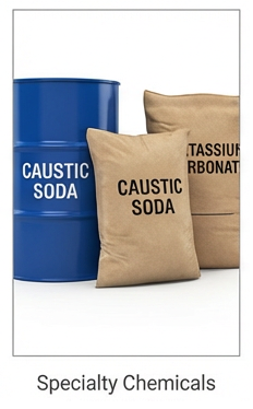 Specialty chemicals and plasticizers — DOP, DOTP, caustic soda, acrylates, solvents — sourced globally for Caribbean and Latin American industry